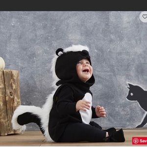 Pottery Barn 2T-3T Skunk Costume